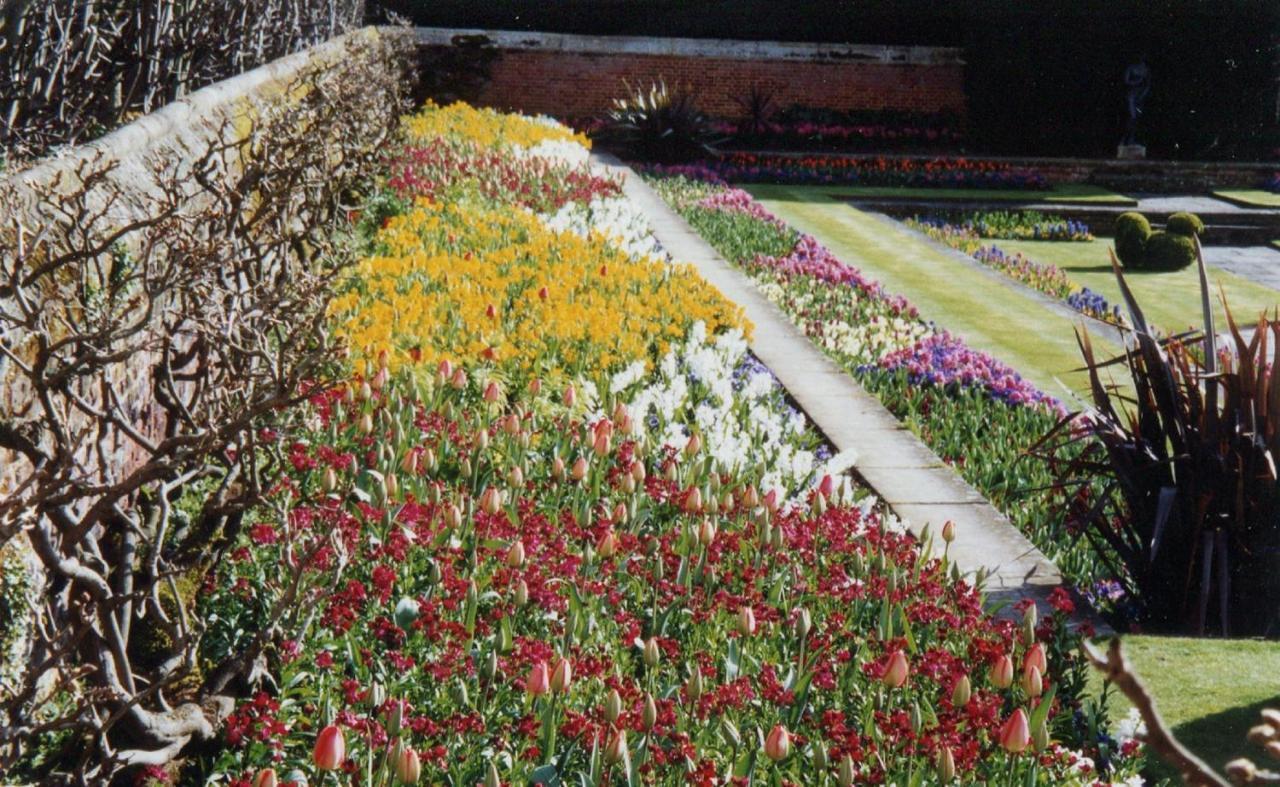 Royal Flower Guest House Pyin Oo Lwin Bagian luar foto